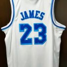 LeBron James Los Angeles Lakers Classic Authentics Jersey