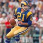 John Hadl Los Angeles Rams Football Mitchell & Ness Jersey