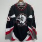 Dominik Hasek Buffalo Sabres Official Hockey Jersey Mitchell & Ness