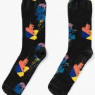 Ludwig Van Beethoven Socks