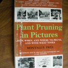 Plant Pruning in Pictures How, When, and Where to Prune by Montague Free (1961_L2) Doubleday & Co HC