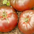 100 Cherokee Purple Tomato Seeds Heirloom Organic Fresh Seed 100 Cherokee Purple Tomato Seeds Heirloom Organic Fresh Seed