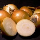 500 Yellow Sweet Spanish Onion Seeds Fresh Seed 500 Yellow Sweet Spanish Onion Seeds Fresh Seed