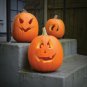 75 Pumpkin Seeds Jack O Lantern Organic Heirloom Seed