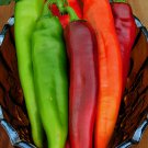 150 Big Jim Hot Pepper Seeds Fresh Seed 150 Big Jim Hot Pepper Seeds Fresh Seed