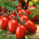 200 Italian Roma VF Tomato Seeds Fresh Seed 200 Italian Roma VF Tomato Seeds Fresh Seed
