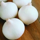 500 Sweet White Spanish Onion Seeds Heirloom Fresh Seed 500 Sweet White Spanish Onion Seeds Heirloom Fresh Seed