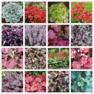 1200 MIXED COLORS CORAL BELLS HEUCHERA Shade Flower Seeds 1200 MIXED COLORS CORAL BELLS HEUCHERA Shade Flower Seeds