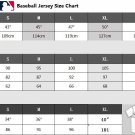 Any Size Houston Astros Alex Bregman Gray 2024 Away Baseball Jersey