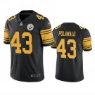 Men & Youth #43 Troy Polamalu Pittsburgh Steelers Color Rush Limited Black Jersey__1782