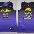 Lakers #23 LeBron James Basketball Jersey Purple 2024 New