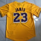 Lakers #23 LeBron James Retro Basketball Stitched Short sleeve Yellow