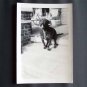 Vintage Black and White Photo Black Dog Sitting on Front Porch c1940s (PH016)
