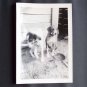 Vintage Black and White Photo 2 Dogs c1940s (PH015)