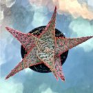 Aloe Firecracker Comes In A 2.5 Pot Fresh Garden Aloe Firecracker Comes In A 2.5 Pot Fresh Garden