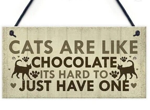 Cats Are Just Like Chocolate" Wood Plaque Door Hanger Sign Decor 8"x4
