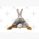 Cute Bunny Rabbit Tail Butt Image Picture  Bath Mat YaoXiao