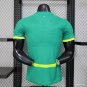 Senegal Away Green 2026 Player Jersey