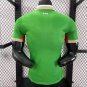 Ireland Home 2026 Player Jersey