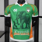 Ivory Coast Green 25/26 Player Jersey