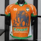 Ivory Coast Orange 25/26 Player Jersey