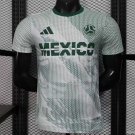 Mexico Away 2026 Player Jersey