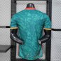 Cameroon 2026 Player Jersey