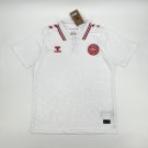 Denmark Euro Away Jersey 24/25 Soccer Football Futbol Adults Jersey Kit