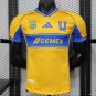 Tegres Home 25/26 Player Jersey