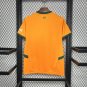 Valencia CF Third Away 24/25 Adult Soccer Futbol Football Jersey