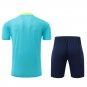 Brazil Blue Short Sleeve 2024 Soccer Football Jersey+Shorts