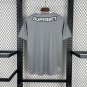 Sao Paulo Special Edition Grey 25/26 Jersey