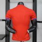 Norway Home 2025 Player Jersey