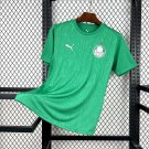 Palmeiras Pre-Match 25/26 Jersey
