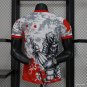 Japan Special Edition 2025 Player Soccer Football Futbol Adults Jersey