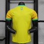 Brazil Christ Yellow Goalkeeper Special 2024 Player Soccer Football Futbol Adults Jersey