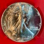 1987 American Silver Eagle MS70 NGCx MS10 TOP POP Vault Box Red