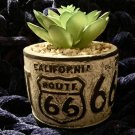 Faux Realistic Succulent Potted Plant Route 66 License Plate Design
