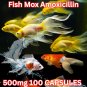 Aqurium Care Fish Mox Amoxi 500mg 100 Capsules Free Shipping