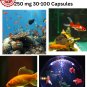 Aquarium Care For Fish Flox Ciprofloxacin 250mg Antibio Treatment 30- 100 Capsules