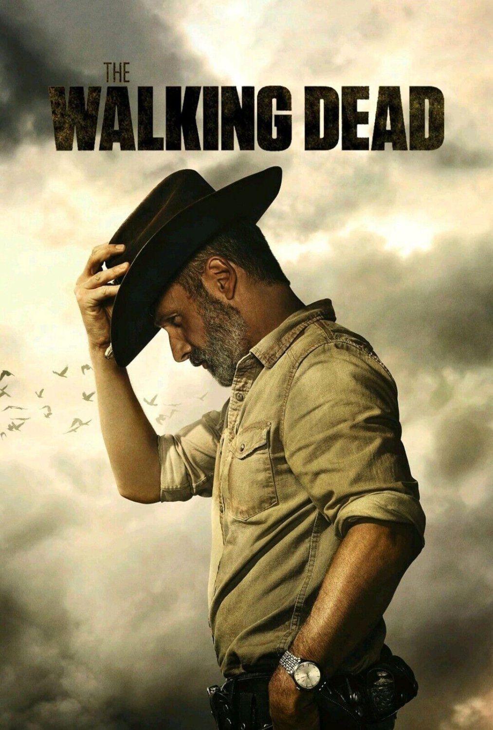 the walking dead complete series