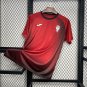 Cordoba CF Pre-match training 24/25 Adult Soccer Futbol Football Jersey