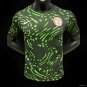 Nigeria Home 2024 Player Authentic Soccer Football Futbol Jersey Kit