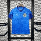 Palmeiras Blue Goalkeeper 24/25 Soccer Football Jersey