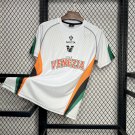 Venezia FC Away 24/25 Adult Soccer Futbol Football Jersey