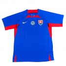 Slovakia Euro Home 24/25 Soccer Football Futbol Adults Jersey Kit