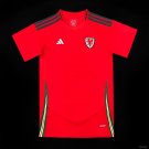 Wales Home 2024 Adult Soccer Football Jersey