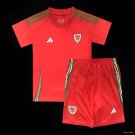 Kids Wales Home Jersey 2024 Soccer Football Youth_ Kids Jersey Kit