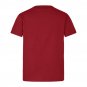 British & Irish Rugby 2025 Jersey