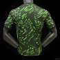 Nigeria Home 2024 Player Authentic Soccer Football Futbol Jersey Kit